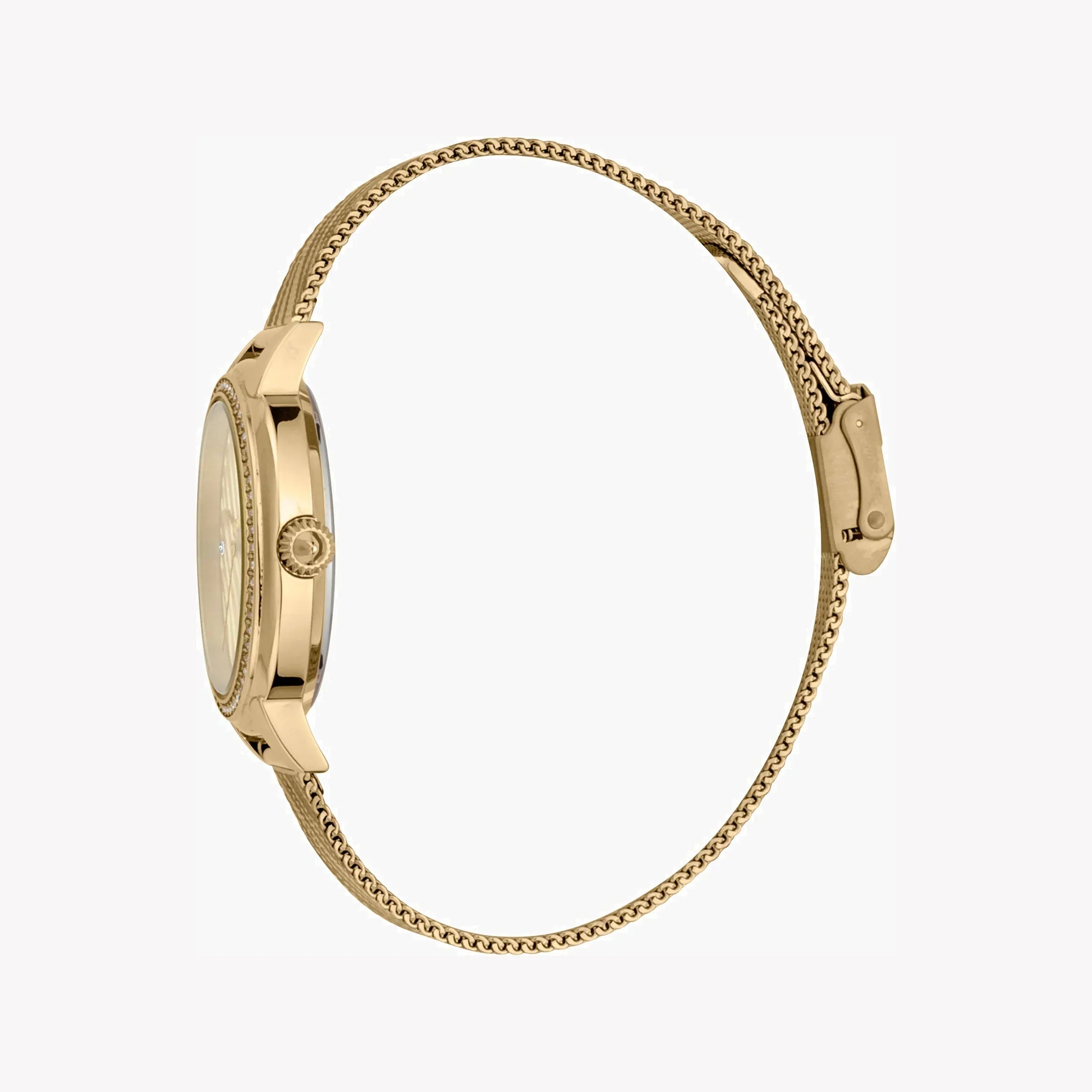 Just Cavalli Women's Gold Stainless Steel Watch, Champagne Dial | Jc1l146m0055-2